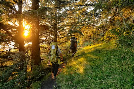 estado de washington - Couple walking in the forest at Cape Alava, Olympic National Park, Clallam County, Washington, USA Foto de stock - Con derechos protegidos, Código: 862-06677634