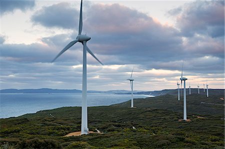Australia, Western Australia, Albany, Torndirrup National Park.  Coastal wind farm at dawn. Stockbilder - Lizenzpflichtiges, Bildnummer: 862-06824890