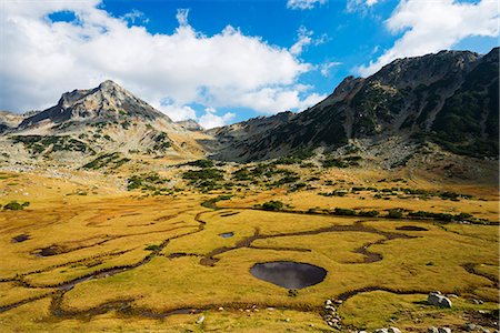 simsearch:862-06825016,k - Europe, Bulgaria, Pirin National Park near Bansko, Unesco World Heritage Site Photographie de stock - Rights-Managed, Code: 862-06825016