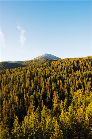 simsearch:862-06825016,k - Europe, Bulgaria, Pirin National Park near Bansko, Unesco World Heritage Site Photographie de stock - Rights-Managed, Code: 862-06825020