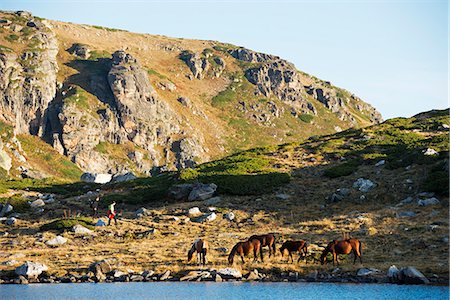 simsearch:862-06825016,k - Europe, Bulgaria, Sedemte Rilski Ezera, hikers and horses in Seven Lakes hiking area Photographie de stock - Rights-Managed, Code: 862-06825049