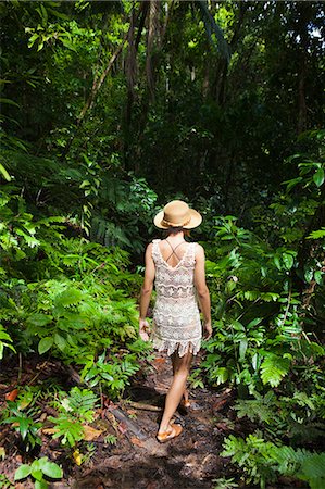 rainforest hike - Dominica, Bense. Hiking to La Chaudiere Pools. (MR). Stock Photo - Rights-Managed, Code: 862-06825221
