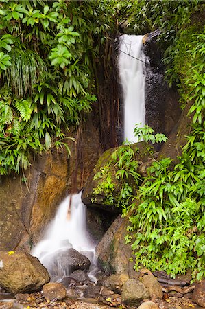 simsearch:862-06825294,k - Dominica, Roseau. Waterfall at Papillote Wilderness Retreat. Photographie de stock - Rights-Managed, Code: 862-06825249