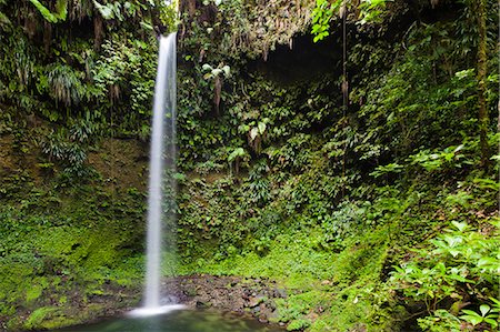 simsearch:862-06825240,k - Dominica, Penrice. The first of the twin Spanny Falls, known simply as Spanny Falls Number One. Foto de stock - Con derechos protegidos, Código: 862-06825240