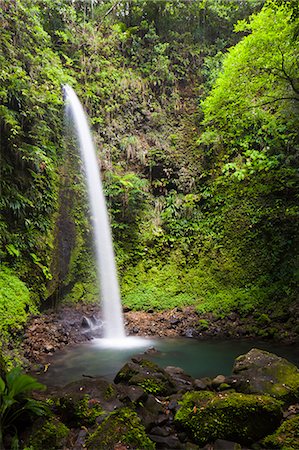 simsearch:862-06825305,k - Dominica, Penrice. The second of the twin Spanny Falls, known as Spanny Falls Number Two. Foto de stock - Con derechos protegidos, Código: 862-06825241