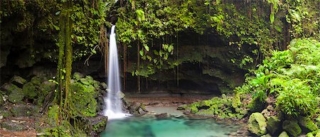 Dominica, Castle Bruce. Emerald Pool, one of the most popular tourist attractions of Dominica. Stock Photo - Rights-Managed, Code: 862-06825285