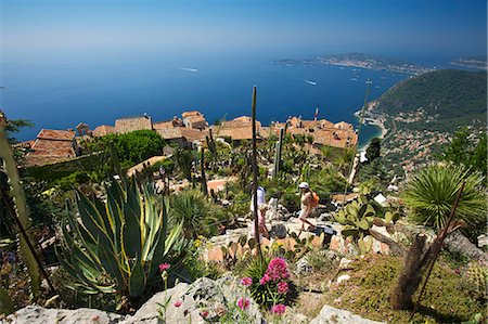 simsearch:862-06825523,k - Jardin Exotique in Eze, Cote d'Azur, Alpes-Maritimes, Provence-Alpes-Cote d'Azur, France Photographie de stock - Rights-Managed, Code: 862-06825509