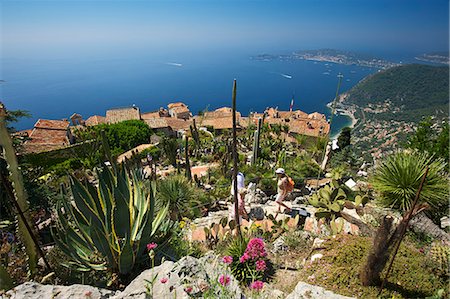 eze france - Jardin Exotique in Eze, Cote d'Azur, Alpes-Maritimes, Provence-Alpes-Cote d'Azur, France Stock Photo - Rights-Managed, Code: 862-06825509