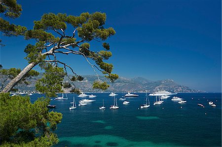 simsearch:862-06825525,k - Yachts, Paloma Beach, Saint Jean Cap Ferrat, Cote d'Azur, Alpes-Maritimes, Provence-Alpes-Cote d'Azur, France Photographie de stock - Rights-Managed, Code: 862-06825518