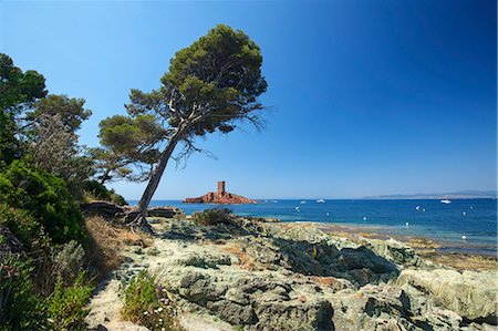 provence - Ile d'Or at Corniche de l'Esterel, Cote d'Azur Provence-Alpes-Cote d'Azur, France Photographie de stock - Rights-Managed, Code: 862-06825534