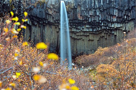 svartifoss waterfall - Europe, Iceland, Skaftafell National Park, Svartifoss waterfall Foto de stock - Con derechos protegidos, Código: 862-06825740