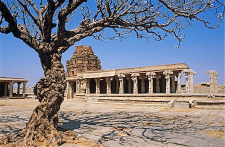 simsearch:862-06825860,k - Asia, India, Karnataka, Hampi.  Ancient tree in the Vitthala temple complex. Foto de stock - Con derechos protegidos, Código: 862-06825832