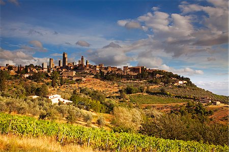 san gimignano tuscany photos - Italy, Tuscany, San Gimignano. Landscape of historical town and surroundings. (UNESCO) Stock Photo - Rights-Managed, Code: 862-06825968