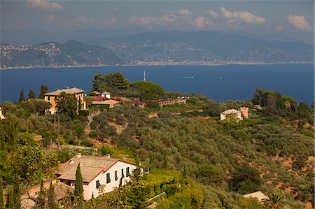 riviera italiana - Northern Italy, Italian Riviera, Liguria, Portofino. Luxury villas overlooking the sea in the surroundings of Portofino Fotografie stock - Rights-Managed, Codice: 862-06825979