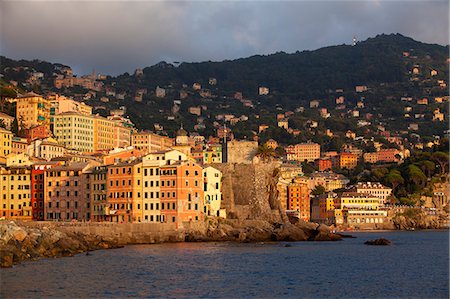 Northern Italy, Italian Riviera, Liguria, Camogli. Surroundings of the village of Camogli Stock Photo - Rights-Managed, Code: 862-06825983