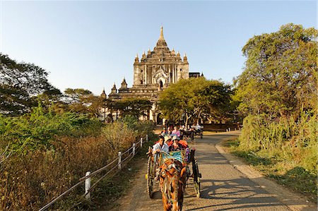 paya - Myanmar, Burma, Mandalay Region, Bagan. Often used by tourists to visit Bagan's pagoda-dotted plain, a pony and trap pass by Thatbyinnyu Paya, or pagoda, which at around 200ft/61m high is the tallest in Bagan. Stock Photo - Rights-Managed, Code: 862-06826073