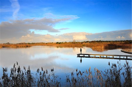 The lagoon of Mira, place of serenity and meditation. Portugal (MR) Stock Photo - Rights-Managed, Code: 862-06826155