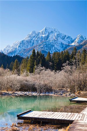 Slovenia, Gorenjska Region, Triglav National Park. Zelenci Swamps near Kranjska Gora, once considered to be the source of the Sava River. Photographie de stock - Rights-Managed, Code: 862-06826184