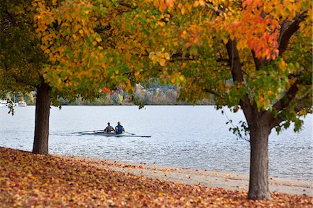 Australia, Australian Capital Territory (ACT), Canberra.  View through autumn leaves to rowers on Lake Burley Griffin. Stock Photo - Rights-Managed, Code: 862-07495751