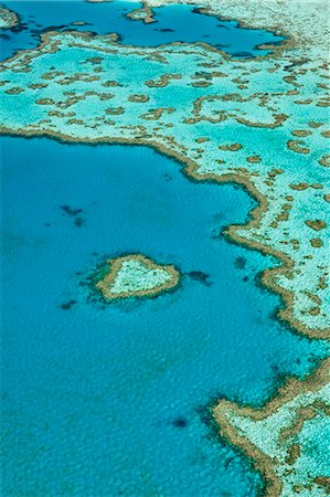 reef - Australia, Queensland, Whitsundays, Great Barrier Reef Marine Park.  Aerial view of 'Heart Reef', a heart-shaped coral formation at Hardys Reef. Stock Photo - Rights-Managed, Code: 862-07495762