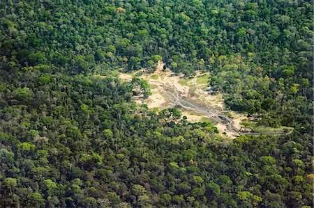 Central African Republic, Dzanga-Ndoki, Dzanga-Bai.  Dzanga-Bai from the air. This forest glade has natural salts and minerals, which attract animals. Photographie de stock - Rights-Managed, Code: 862-07495859