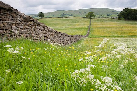 simsearch:862-06676672,k - Walking through Spring meadows near Hawes, Wensleydale, Yorkshire Dales National Park Photographie de stock - Rights-Managed, Code: 862-07495894