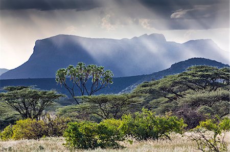 Kenya, Shaba National Reserve, Isiolo County. Rays of sunlight break through a threatening sky near Ol doinyo Sabachi, a prominent flat-topped massive sometimes called Lololokwi. Stock Photo - Rights-Managed, Code: 862-07495989