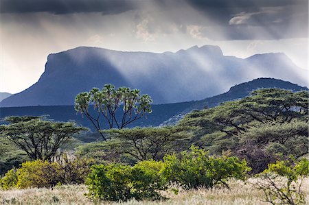 Kenya, Shaba National Reserve, Isiolo County. Rays of sunlight break through a threatening sky near Ol doinyo Sabachi, a prominent flat-topped massive sometimes called Lololokwi. Foto de stock - Con derechos protegidos, Código: 862-07495989