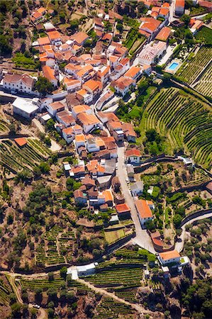 simsearch:862-03360914,k - Europe, Portugal, Tras-os-Montes e Alto Douro, Douro Valley aerial view of vineyards and vineyard terraces and the Douro (Duero) river in the UNESCO World Heritage listed Alto Douro region Photographie de stock - Rights-Managed, Code: 862-07496258