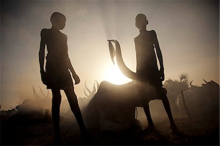 smoke dust - Unity State, South Sudan. A cattle camp at dawn near Leer. Stock Photo - Rights-Managed, Code: 862-07496284