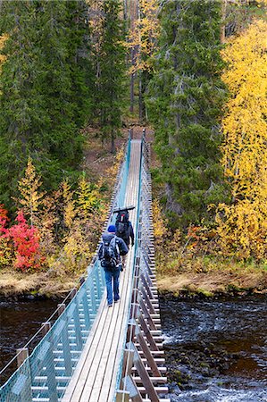 Europe, Finland, Lapland, Kuusamo, Oulanka National Park, Karhunkierros Trail - the bear trail hike, hikers crossing the hanging bridge at Harrisuvanto spanning the Kitkajoki River (MR) Stock Photo - Rights-Managed, Code: 862-07650636