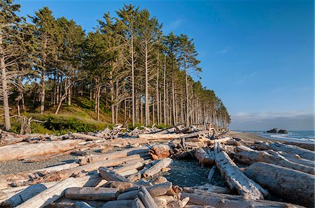 U.S.A., Washington,  Olympic National Park, Ruby Beach Stock Photo - Rights-Managed, Code: 862-07650679