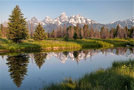 simsearch:862-08091564,k - U.S.A., Wyoming, Grand Teton National Park, Schwabacher s Landing Photographie de stock - Rights-Managed, Code: 862-07650682