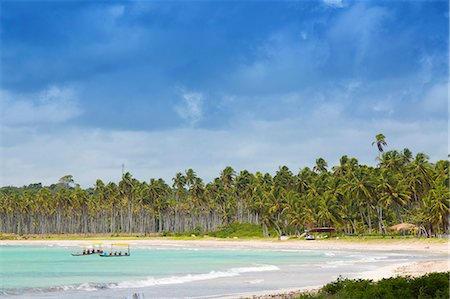 sao miguel - South America, Brazil, Alagoas, Praia do Riacho, view of the bay and beach Stock Photo - Rights-Managed, Code: 862-07689842