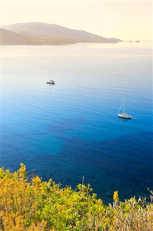 simsearch:862-07690143,k - Italy, Italia. Tuscany, Toscana Livorno district. Tuscan Archipelago National Park. Elba island Photographie de stock - Rights-Managed, Code: 862-07690147