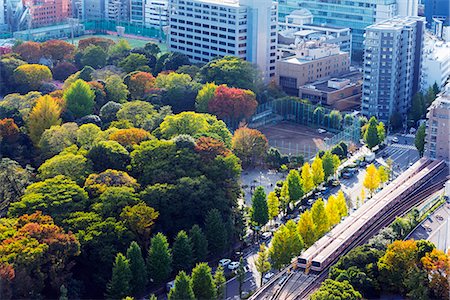 Asia, Japan, Honshu, Tokyo, train tracks and autumn trees Stock Photo - Rights-Managed, Code: 862-07690278