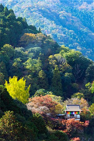 Asia, Japan, Honshu, Kyoto, Arashiyama, autumn colours Photographie de stock - Rights-Managed, Code: 862-07690299