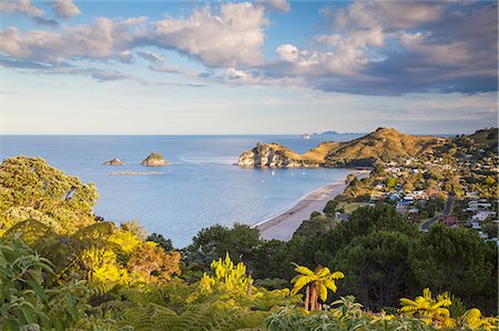 View of Hahei beach, Coromandel Peninsula, North Island, New Zealand Foto de stock - Con derechos protegidos, Código: 862-07690521