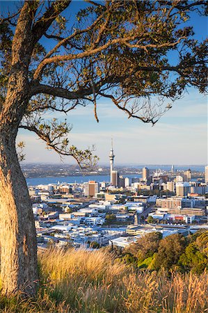 scenic north island new zealand - View of Auckland from Mount Eden, Auckland, North Island, New Zealand Stock Photo - Rights-Managed, Code: 862-07690530