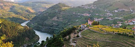 simsearch:862-05998856,k - Barqueiros, over the Douro river is in a very good region to produce wine. Portugal Stock Photo - Rights-Managed, Code: 862-07690664