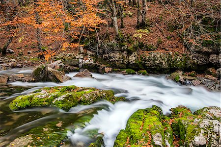 simsearch:862-07690869,k - Autumn colorful landscape with blur motion mountain river, Ordesa and Monte Perdido national park, Huesca, Aragon, Spain Fotografie stock - Rights-Managed, Codice: 862-07690854