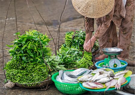 Vietnam, Quang Nam Province, Hoi An. A woman in Hoi An market prepares to sell fresh fish and morning glory (Ipomoea aquatica) which is used as a vegetable in Southeast Asia. Photographie de stock - Rights-Managed, Code: 862-07690981