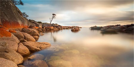 Tasmania, Australia. Binalong bay, Bay of Fires at sunrise Foto de stock - Con derechos protegidos, Código: 862-07909369