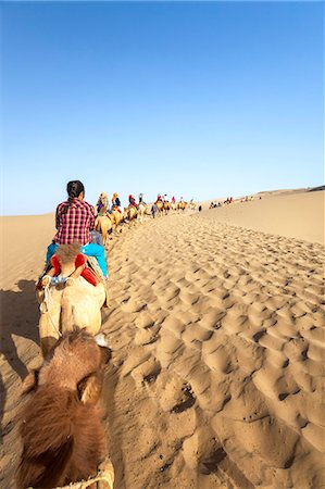 Dunhuang, Gansu, China. Mingsha singing sand dunes desert, chinese tourist on camel (MR) Stock Photo - Rights-Managed, Code: 862-07909478