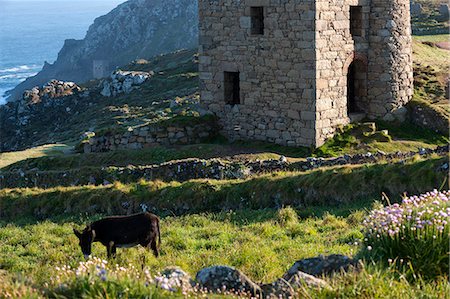 england coast - Old Tin mine workings, Botallack, Pendeen,Cornwall, England Photographie de stock - Rights-Managed, Code: 862-07909675