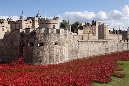 simsearch:862-06825322,k - UK, England, London. Blood Swept Lands and Seas of Red, a major art installation at the Tower of London, marking one hundred years since the first full day of Britain's involvement in the First World War. Fotografie stock - Rights-Managed, Codice: 862-07909704