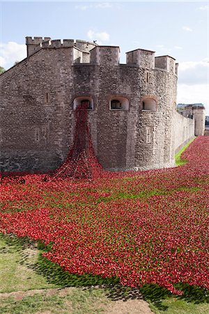 simsearch:862-07909704,k - UK, England, London. Blood Swept Lands and Seas of Red, a major art installation at the Tower of London, marking one hundred years since the first full day of Britain's involvement in the First World War. Stock Photo - Rights-Managed, Code: 862-07909701