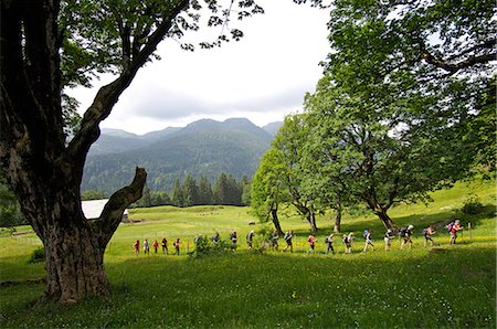 Hiking, Oberstdorf, Allgaeu, Bavaria, Germany Stockbilder - Lizenzpflichtiges, Bildnummer: 862-07909749