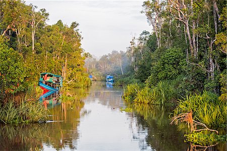 Indonesia, Central Kalimatan, Tanjung Puting National Park. Klotoks  comfortable, traditional river boats   moored along the Sekonyer River. Stock Photo - Rights-Managed, Code: 862-07909928