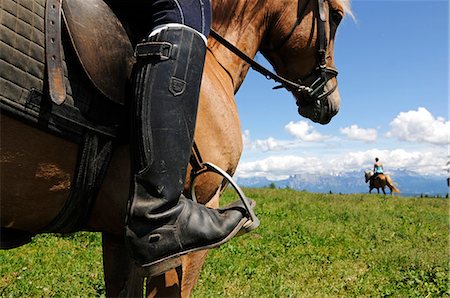 simsearch:862-07910100,k - Horse Riding, Jenesien, Bolzano, South Tyrol, Italy MR Fotografie stock - Rights-Managed, Codice: 862-07910095